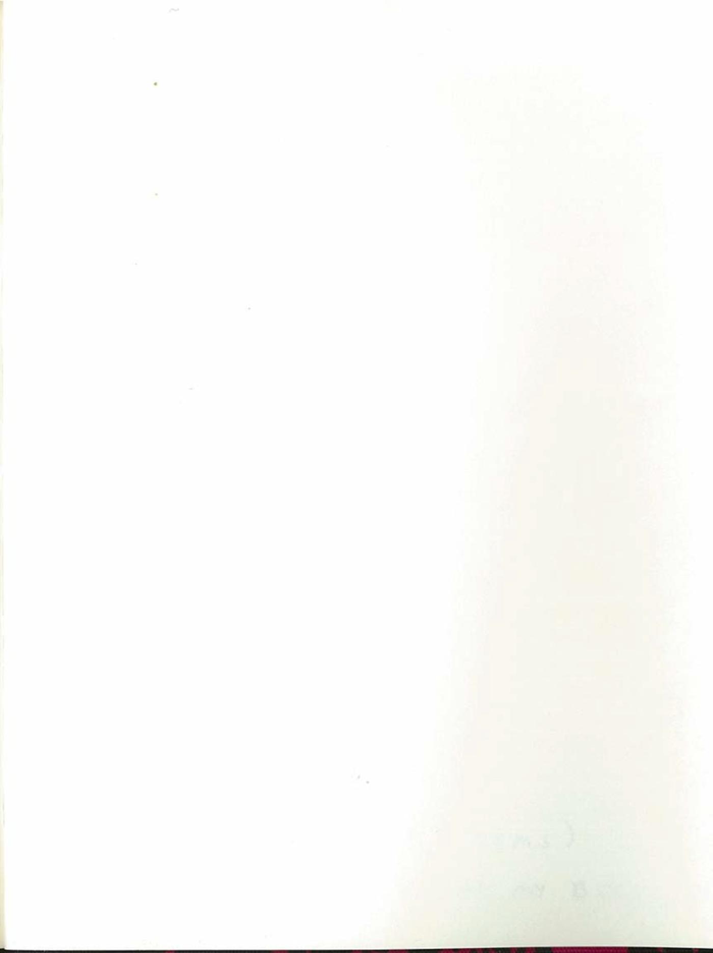 AdventuresDownUnderPlunkett_Page_62-Service File.jpg