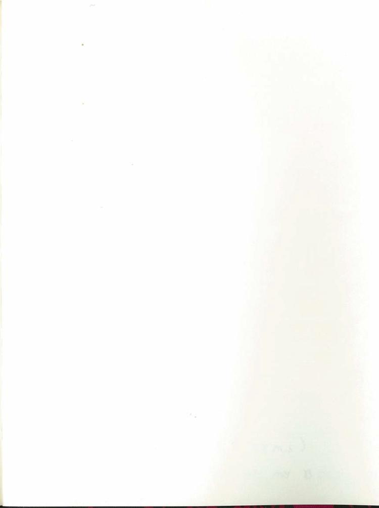 AdventuresDownUnderPlunkett_Page_62-Service File.jpg