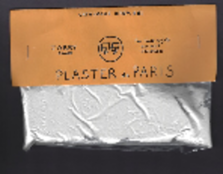 Plaster%20de%20Paris%20First%20Edition-Thumbnail Image.png