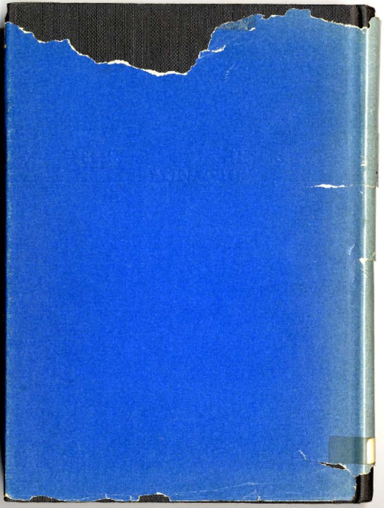 Two%20Novels%20-%20Andy-Service File.jpg